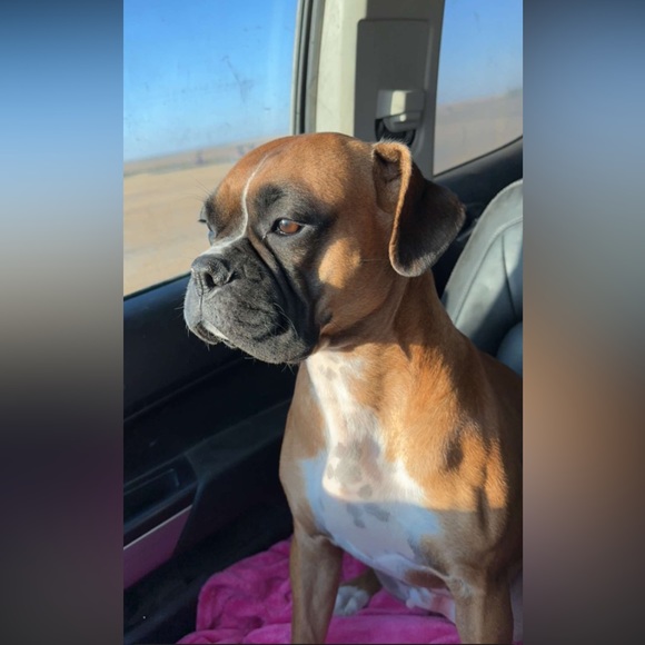 Meet your Posher, Christina - Picture 4 of 6